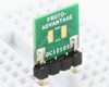 Discrete 1210 to 300mil TH Adapter - SM pins